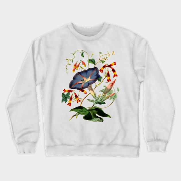 Ipomea - Morning Glory Crewneck Sweatshirt by Philozei